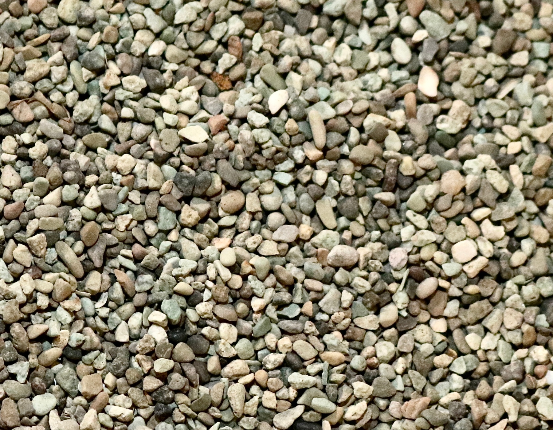 product1 image