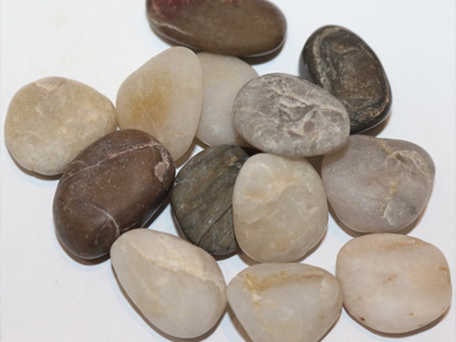 product1 image