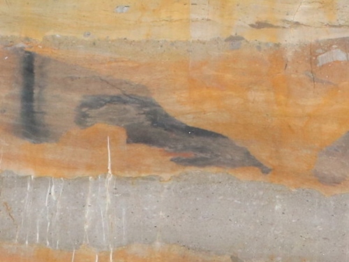 product1 image