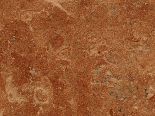 product1 image