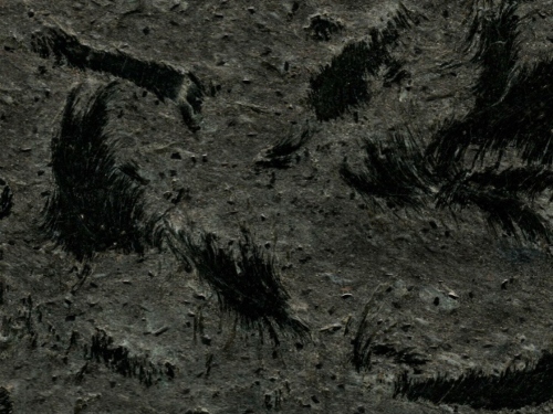 product1 image