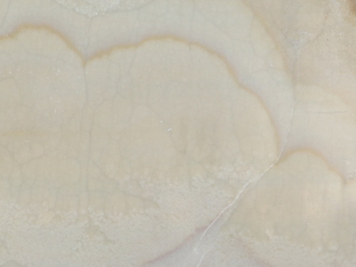 product1 image