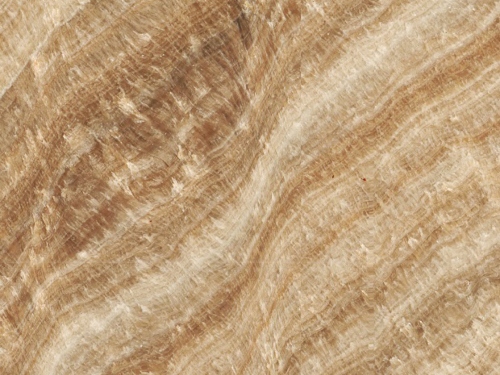 product1 image