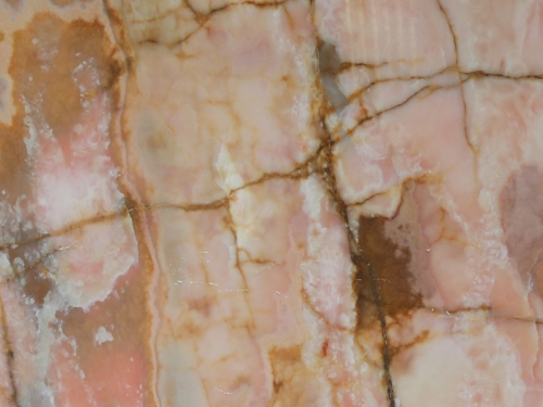 product1 image