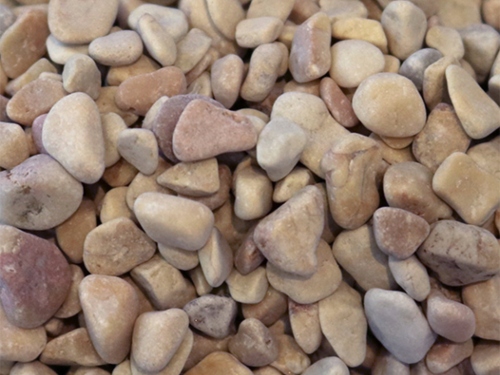product1 image