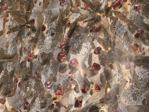 product1 image
