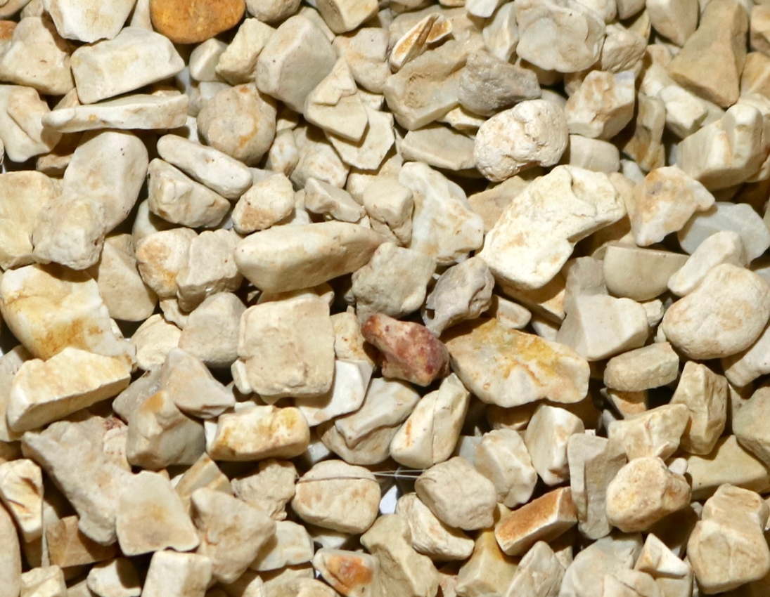 product1 image