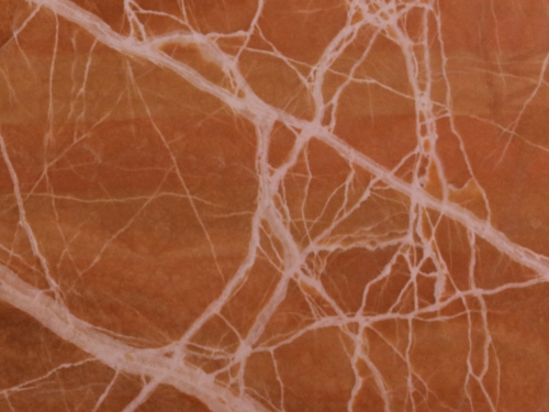 product1 image