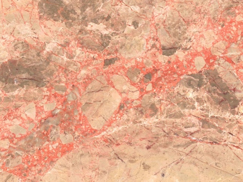 product1 image