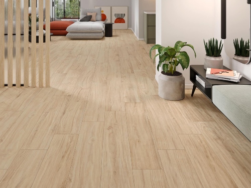 product1 image