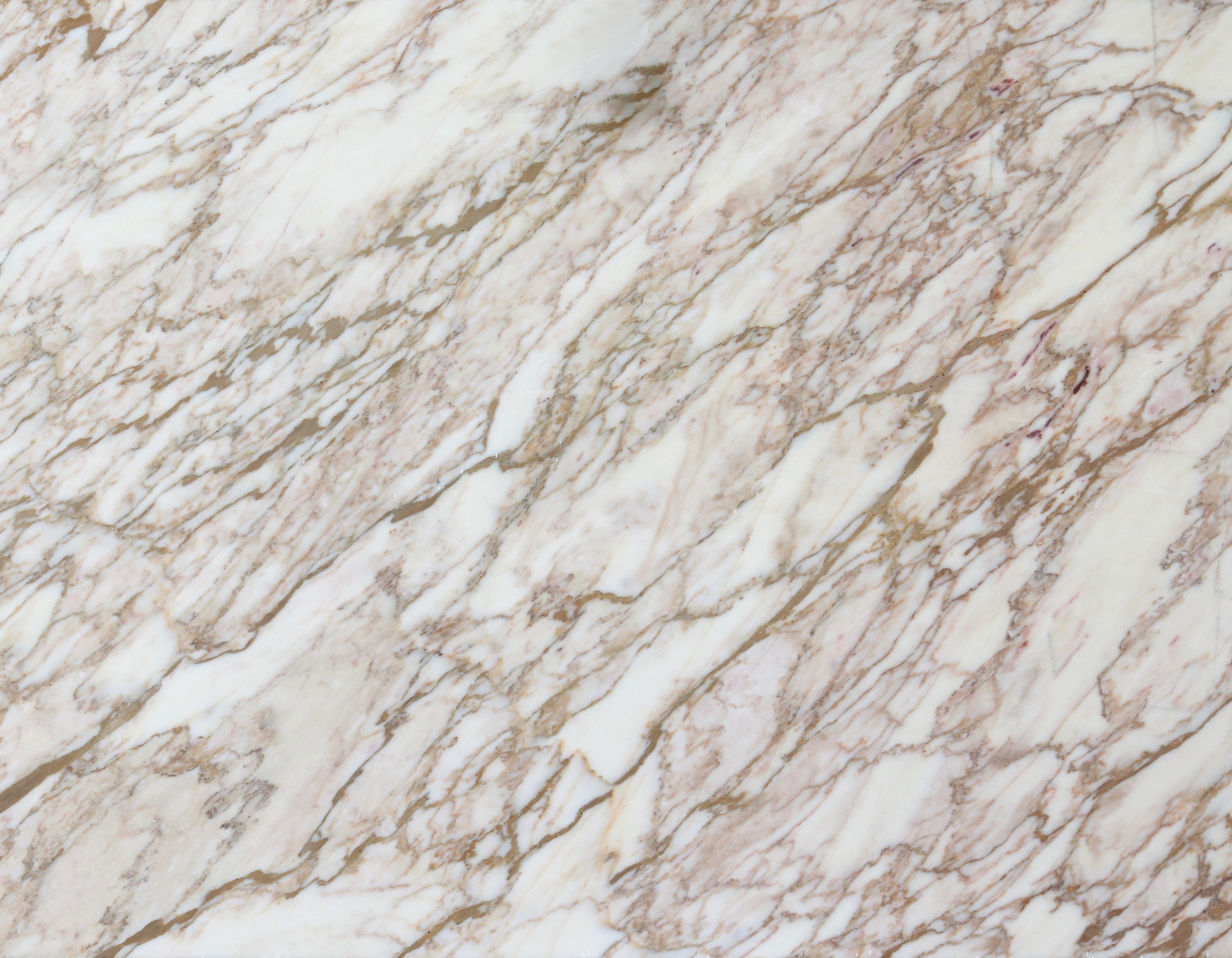 CALACATTA GOLD
