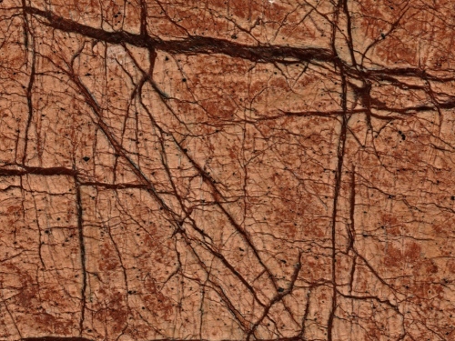 product1 image