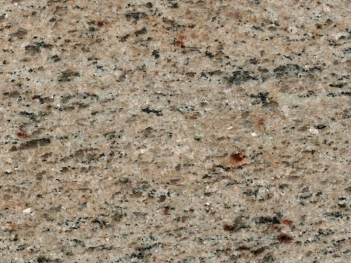 product1 image