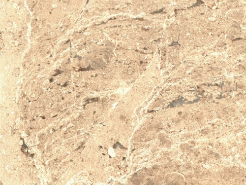 product1 image