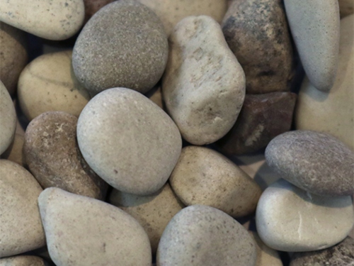 product1 image