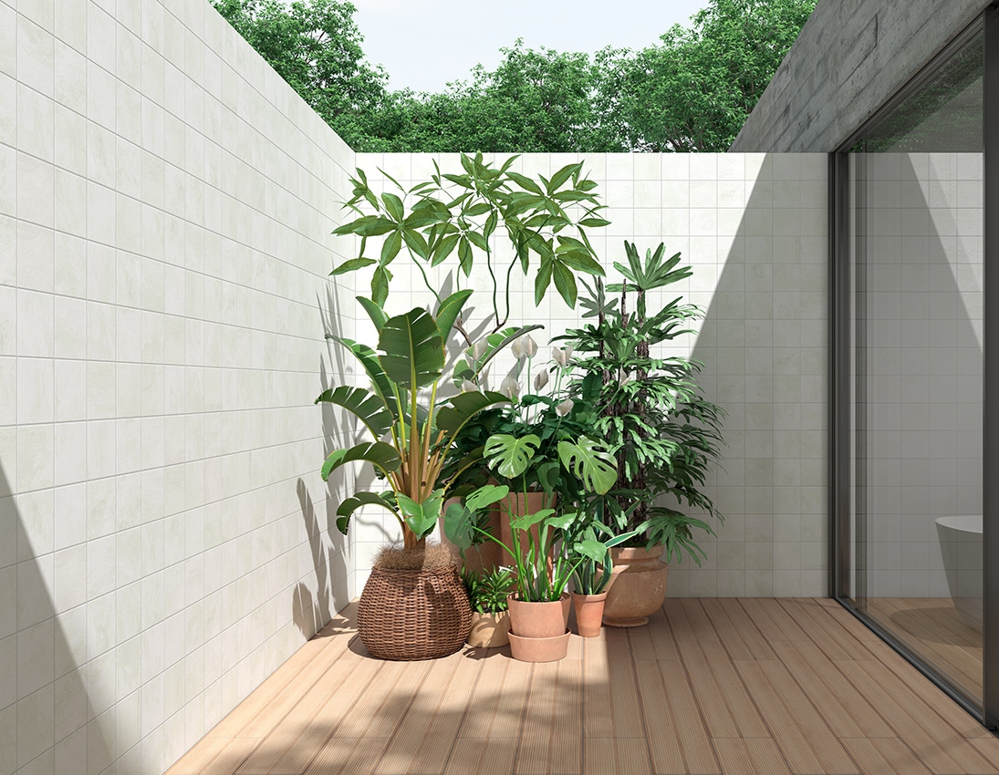 product1 image