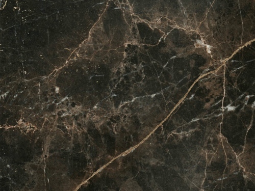 product1 image