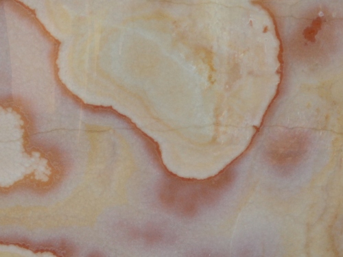 product1 image