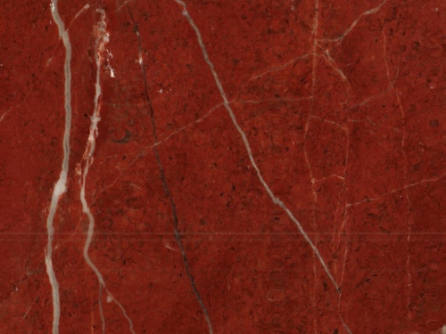 product1 image