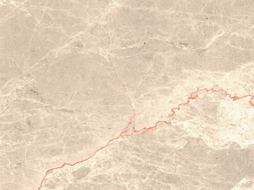product1 image