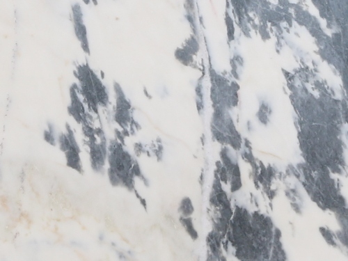 product1 image
