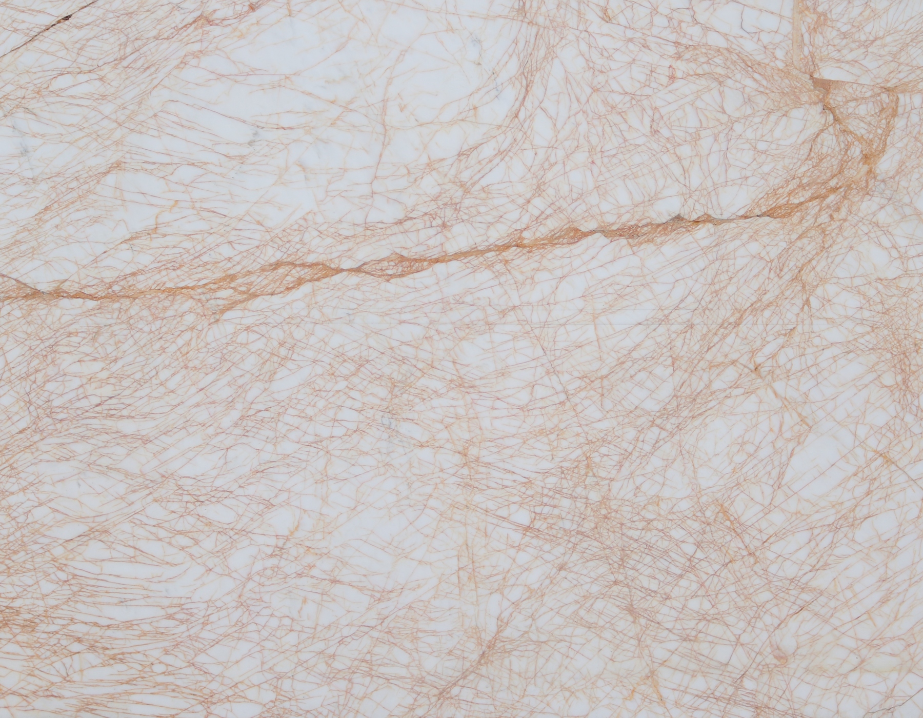 product1 image