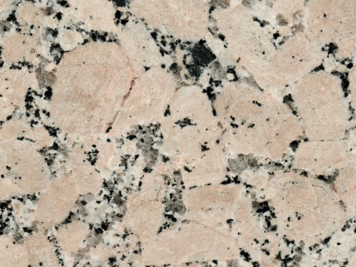 product1 image