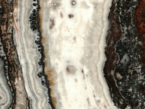 product1 image