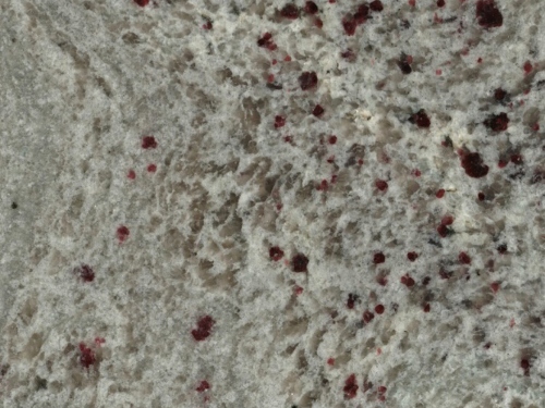 product1 image