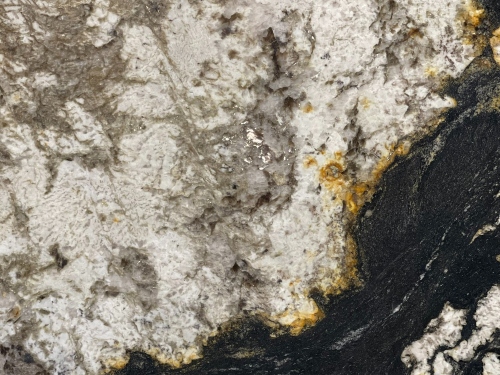 product1 image