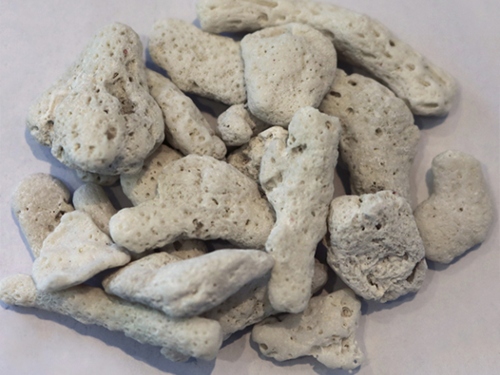 product1 image