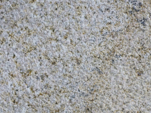 product1 image