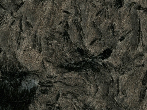 product1 image