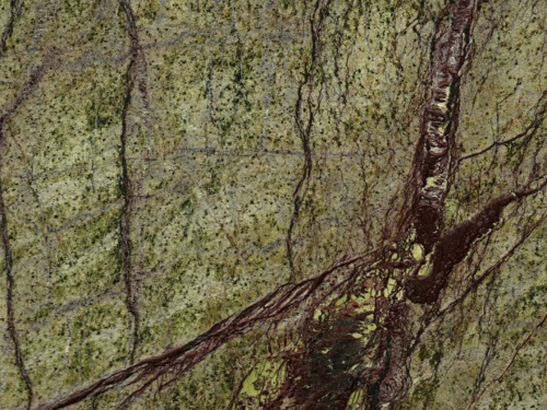 product1 image