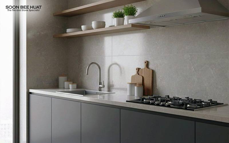 Modern kitchen with sink, stovetop, and shelves.