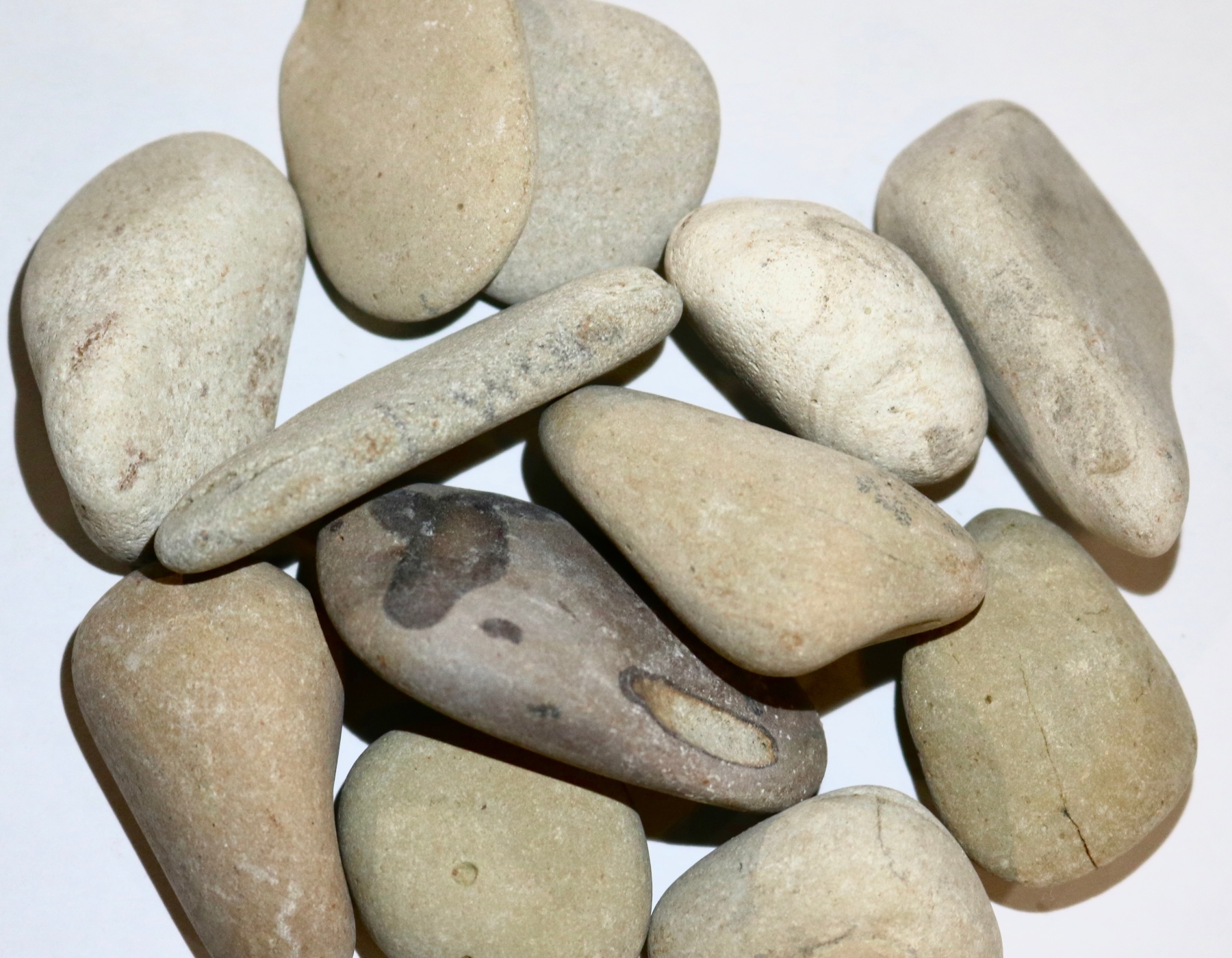 product2 image