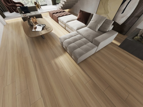 product2 image